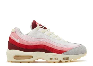AIR MAX 95 'ANATOMY OF AIR'