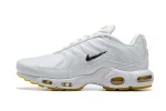 AIR MAX PLUS TN 'M. FRANK RUDY'