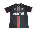 Camiseta Palestina Concepto