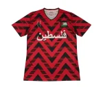 Camiseta Palestina Concepto