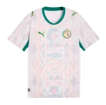 Camiseta Senegal 2026 1ª equipación